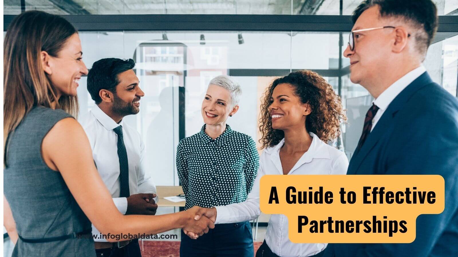 guide to effective partnerships