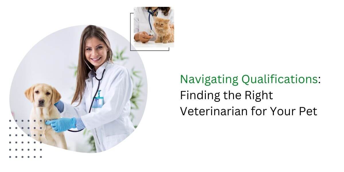 qualified-veterinarians